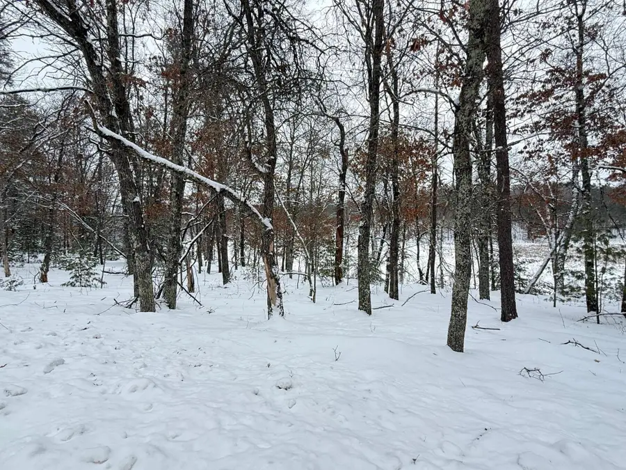 30282 N Des Moines Lake Road, Webb Lake, WI 54830 - #3