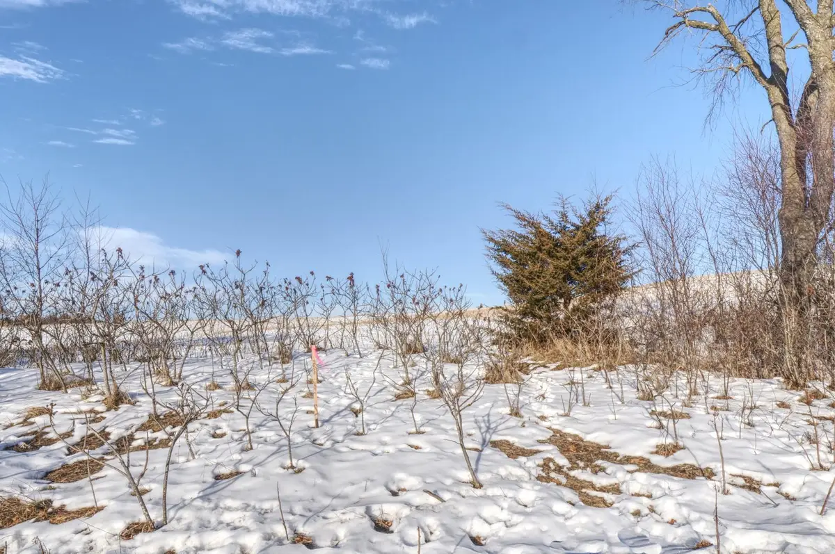 XXXX 80th Avenue, Mondovi, WI 54755 - #1