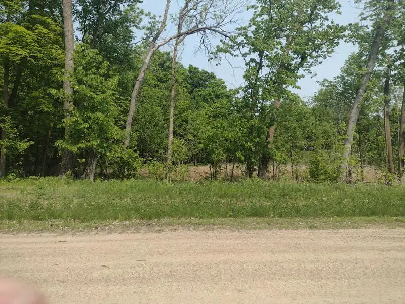 Lot 3 Block 3 Crystal Beach Lane, Pelican Rapids, MN 56572 - #2