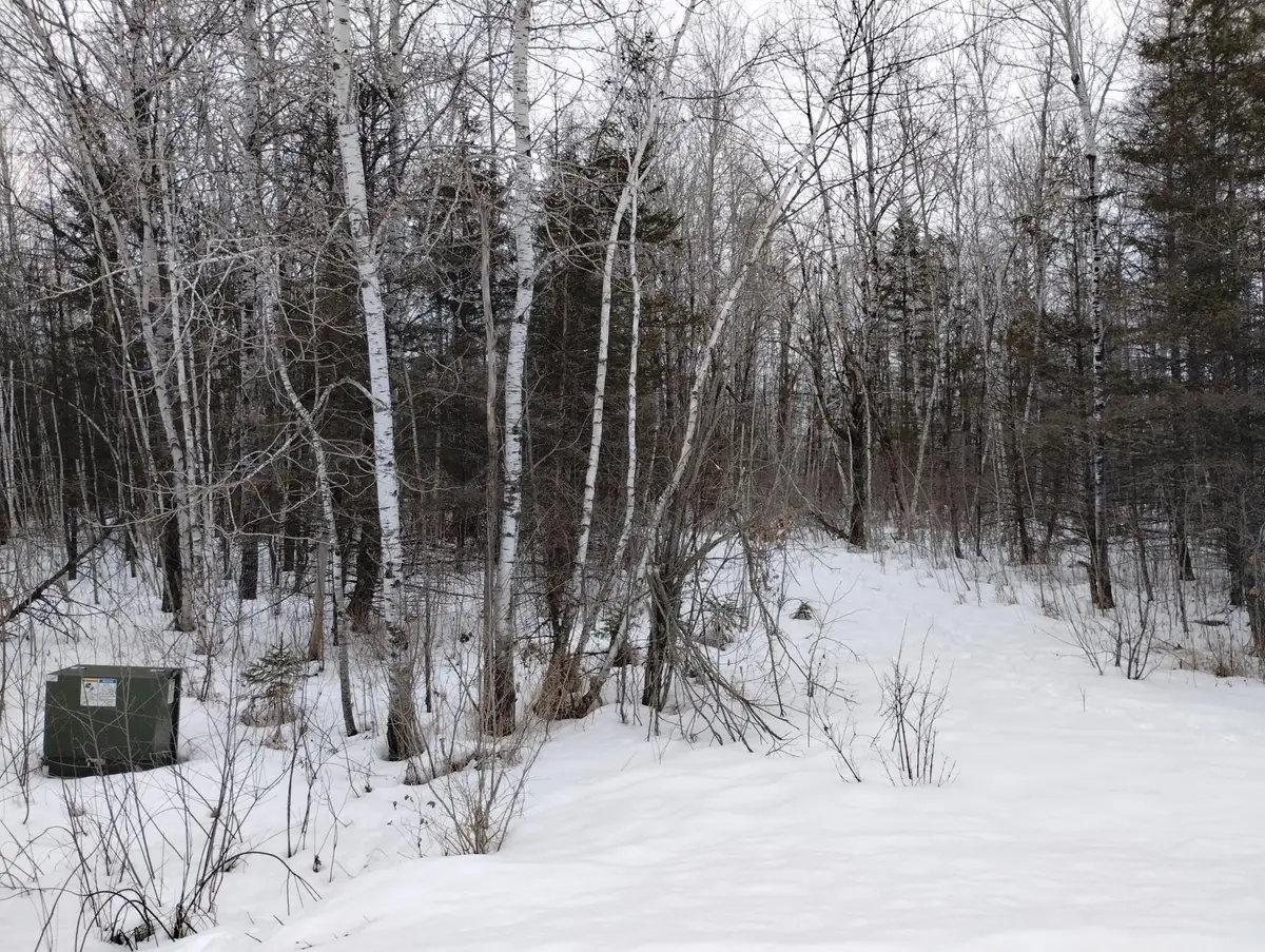 tbd 294th Avenue, Brook Park, MN 55007 - #1