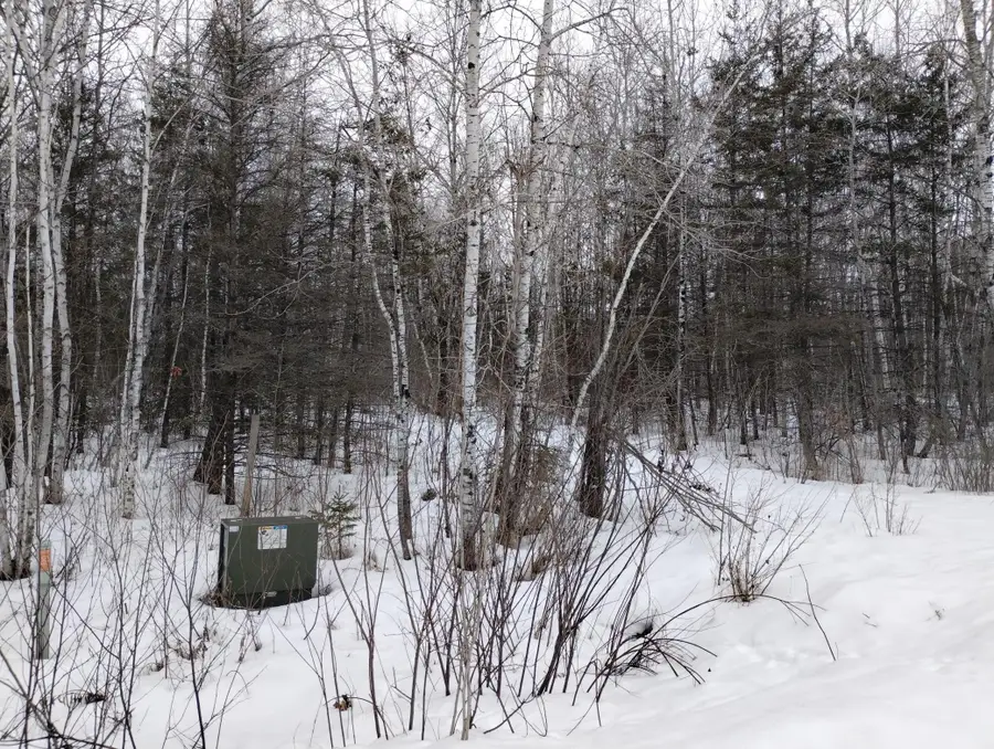 tbd 294th Avenue, Brook Park, MN 55007 - #2