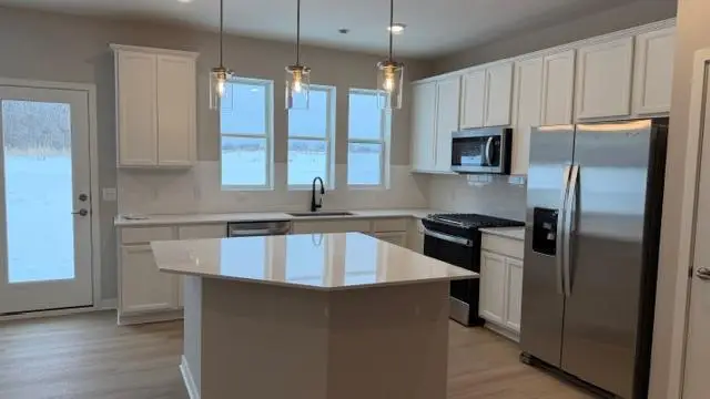 14955 Avondale View, Rosemount, MN 55068 - #3