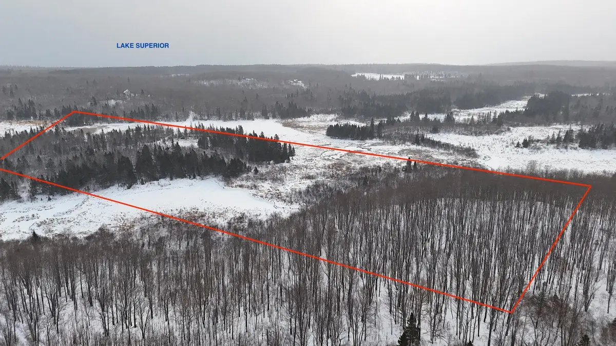 XXX Zekes Road, Schroeder, MN 55613 - #1