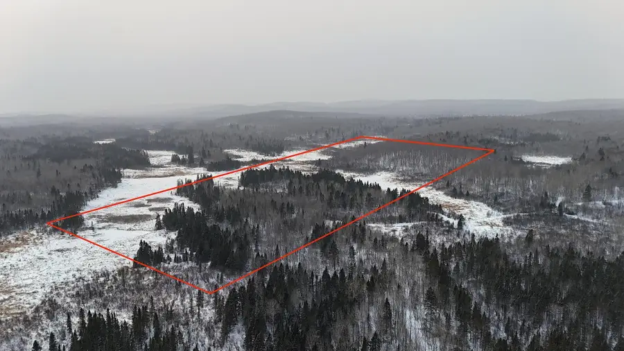 XXX Zekes Road, Schroeder, MN 55613 - #3