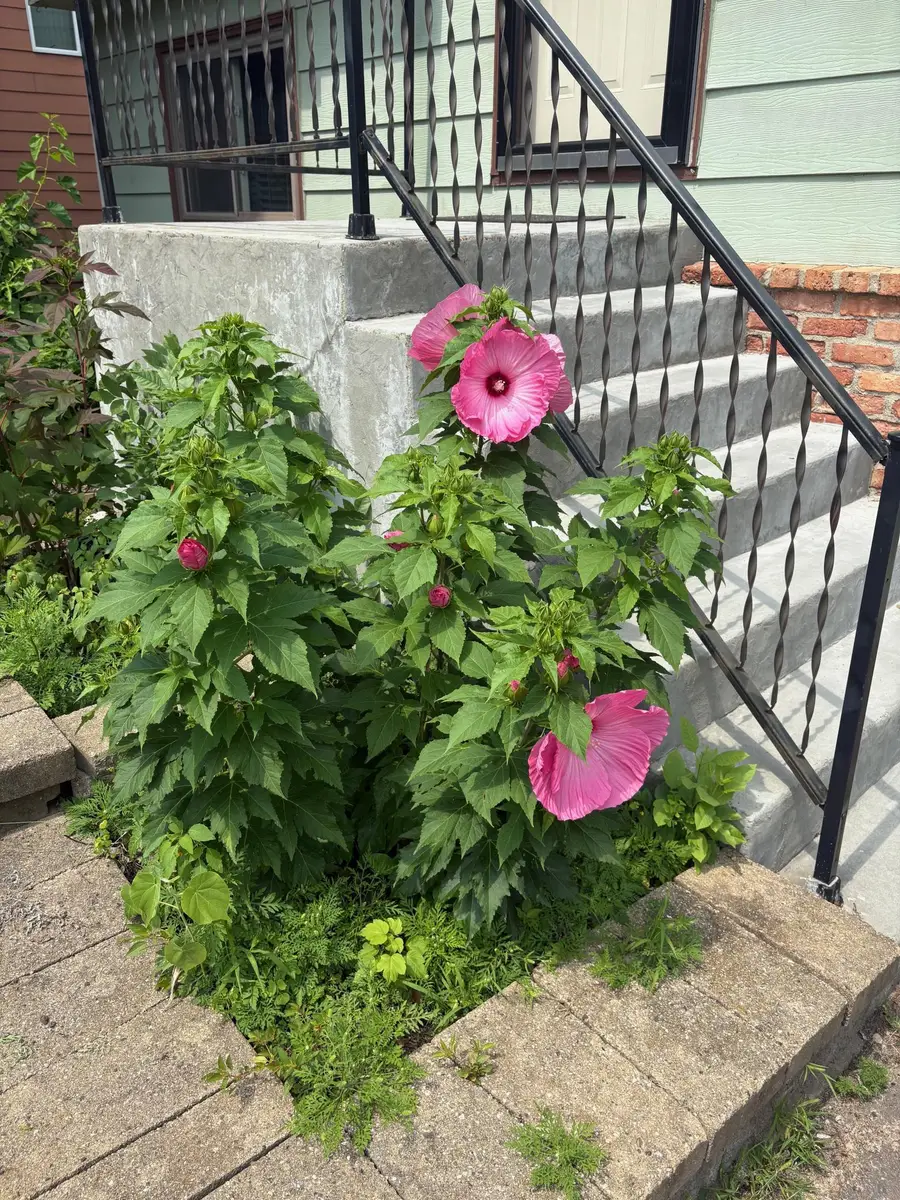 16826 Excelsior Boulevard, Minnetonka, MN 55345 - Image #2