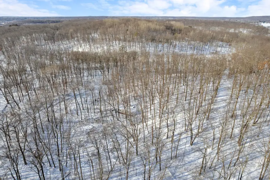 TBD Chestnut Ln, Garrison, MN 56450 - Image #3