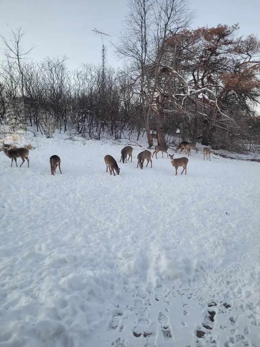 809 60th Avenue Sw, Rochester, MN 55902 - #3