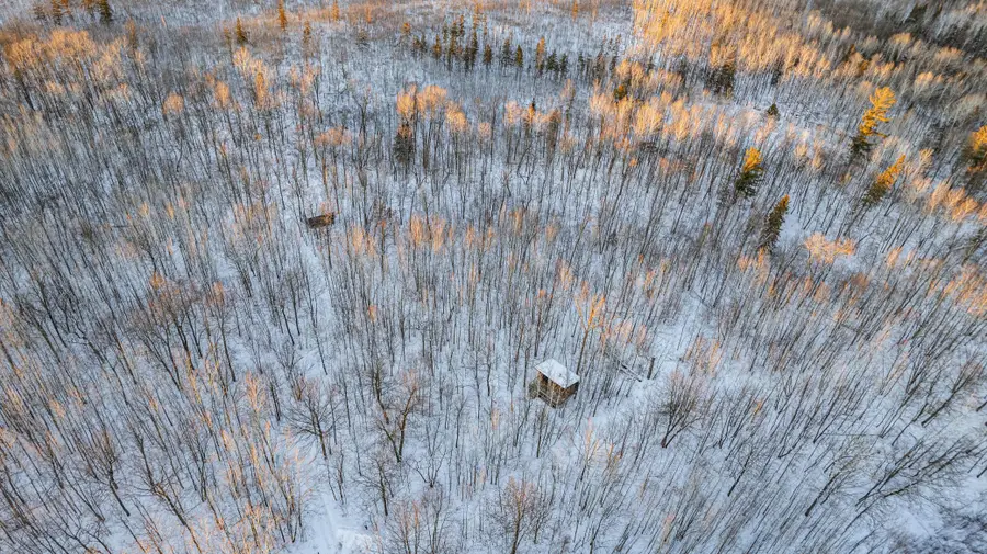 21574 State 200, Bagley, MN 56621 - Image #3