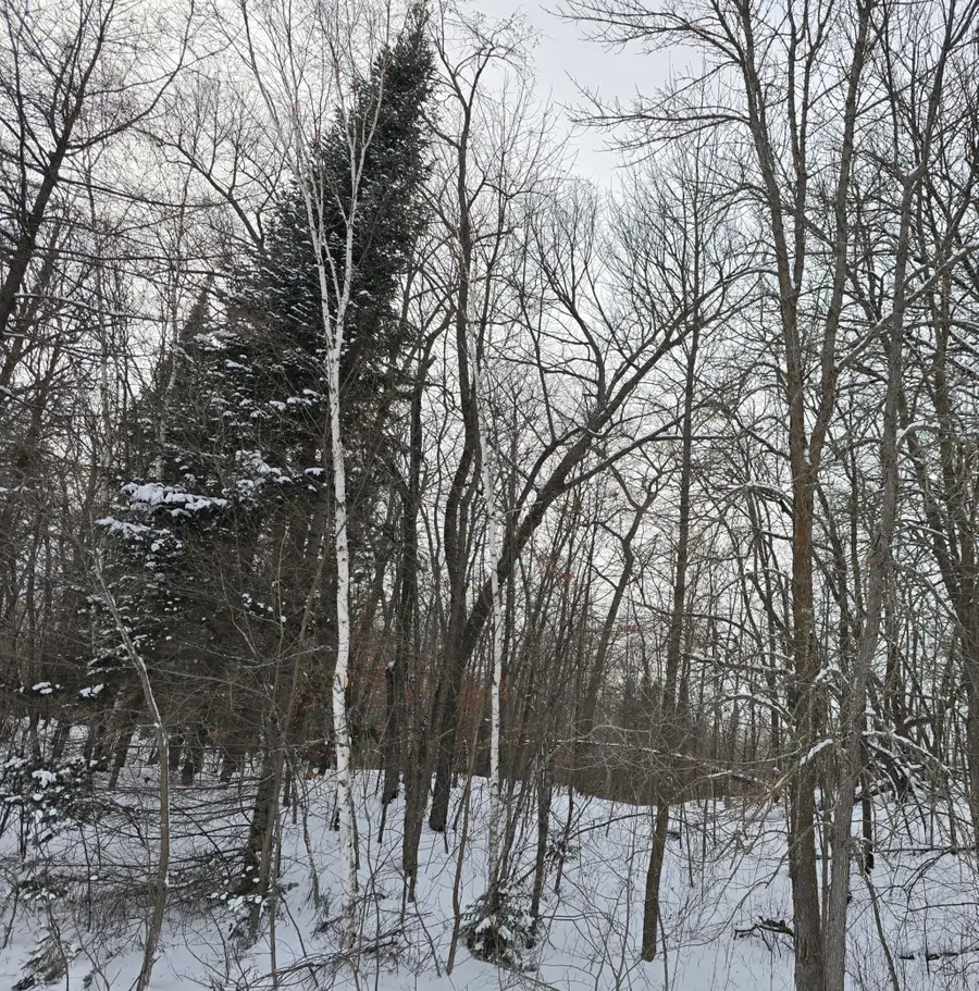 TBD County Highway 35, Waubun, MN 56589 - #3