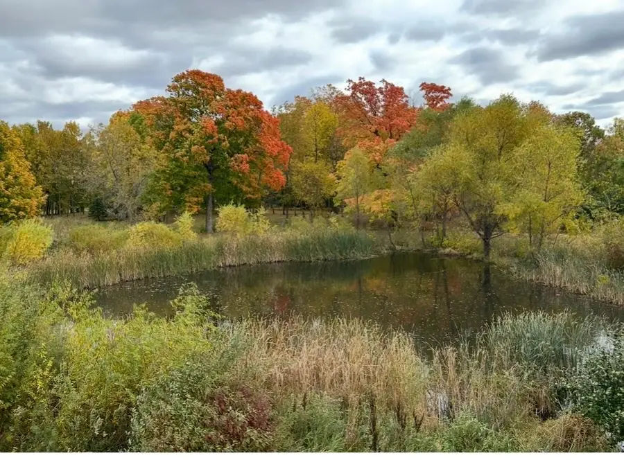 1096 Sunset Avenue, Montrose, MN 55363 - #2