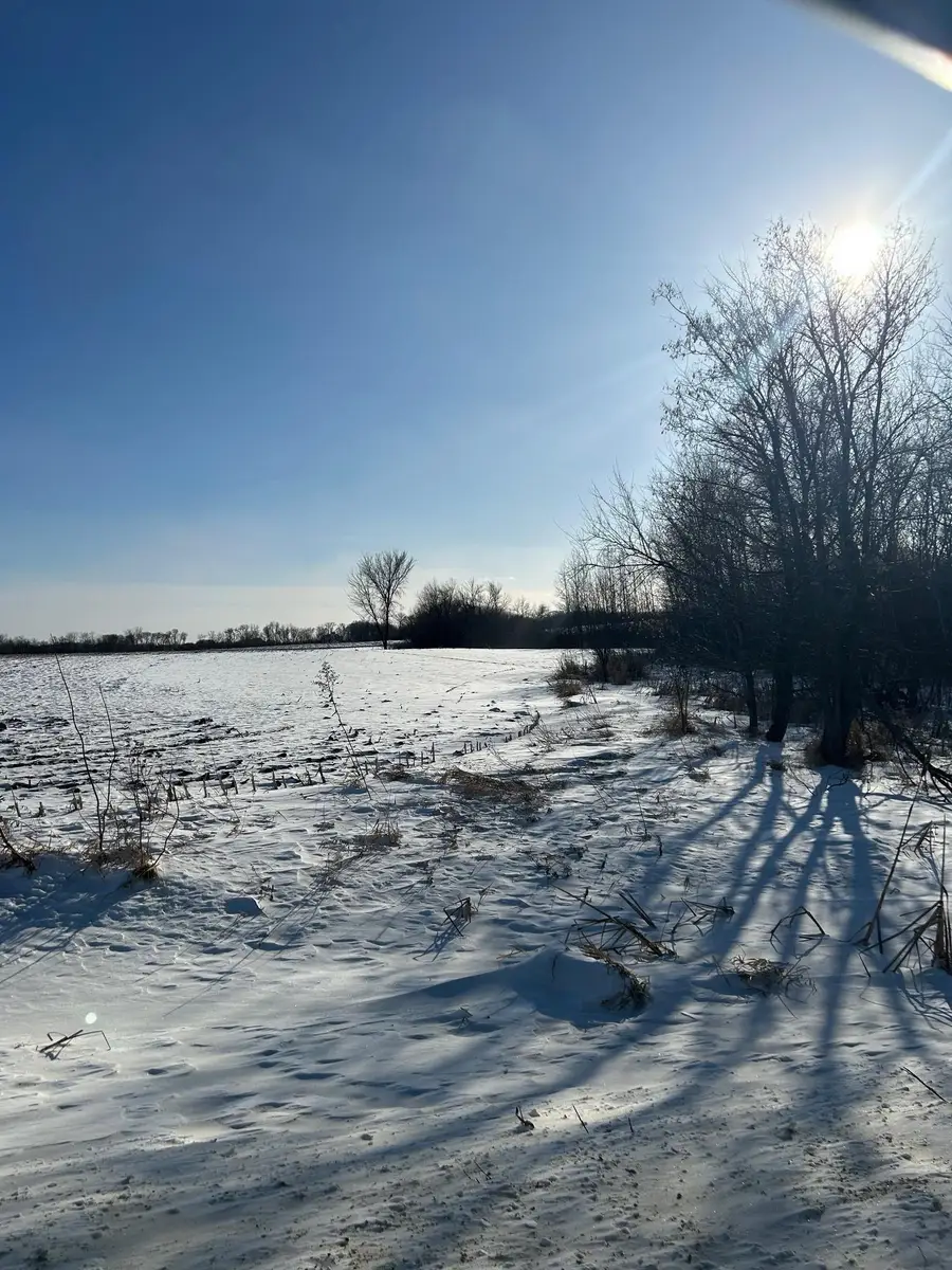 XXXX 285th (180 Acres) Street, Northfield, MN 55057 - Image #2