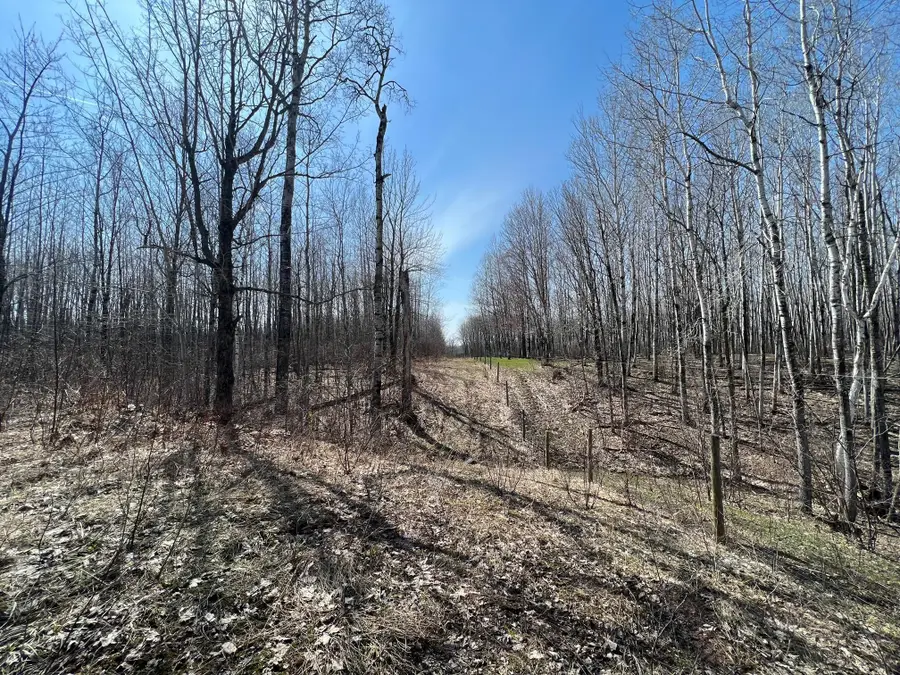 TBD Gulley Road, Maple, WI 54854 - Image #3
