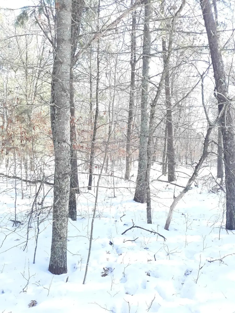 TBD W River Road, Grantsburg, WI 54840 - Image #3