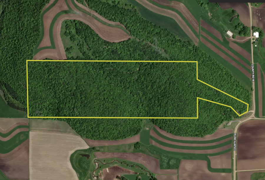 tbd County Road 16, New Hartford, MN 55925 - #2