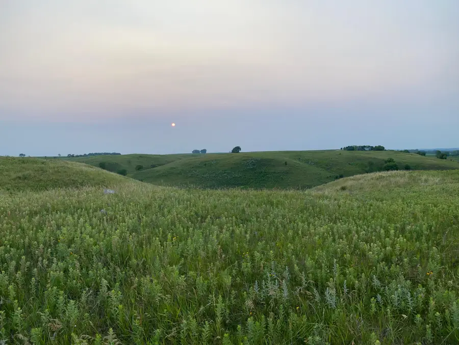 14101 Pelican Ridge, Big Stone City, SD 57216 - Image #3