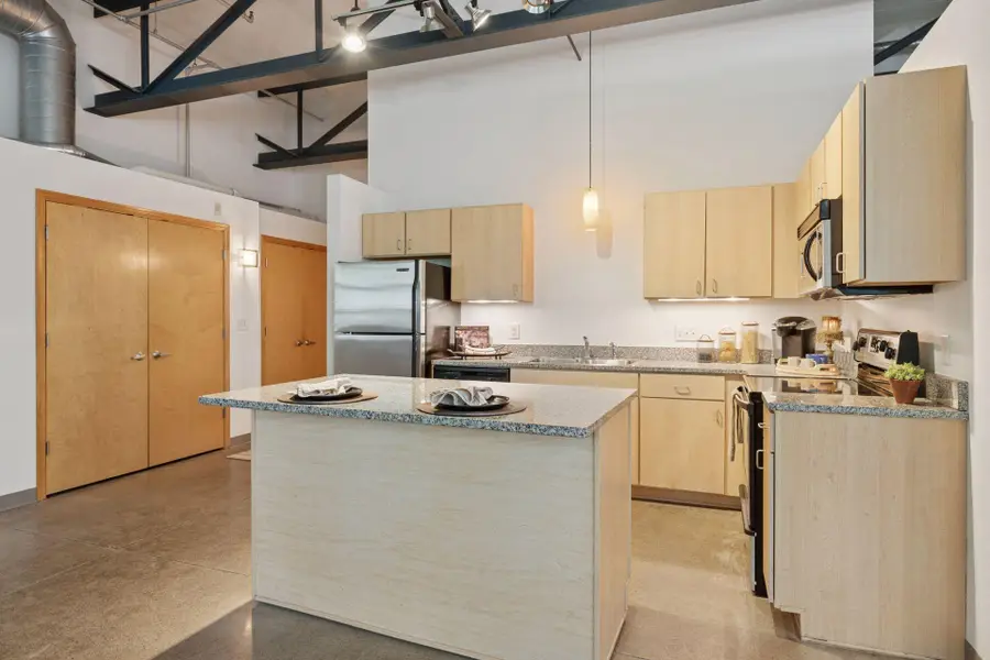111 E Franklin Avenue #215, Minneapolis, MN 55404 - Image #3