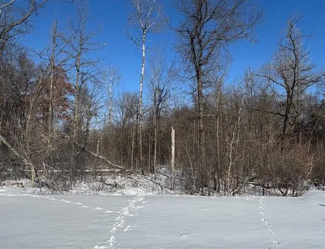 1813 11th Street N, Sartell, MN 56377 - #1