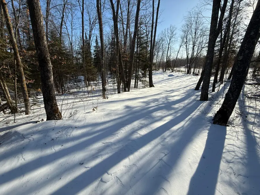 67246 340th Avenue, Hill City, MN 55748 - #3