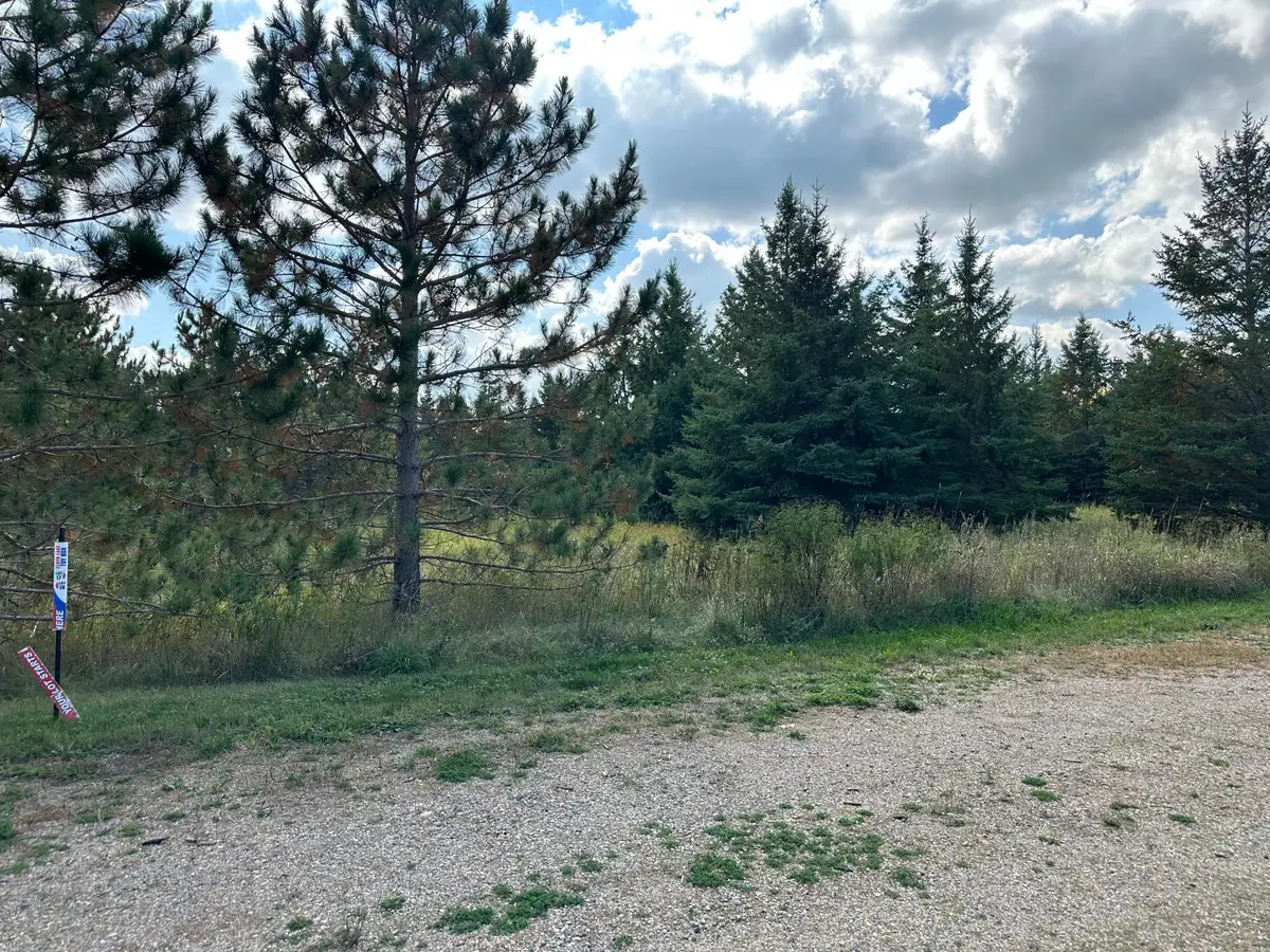 26787 Lidstrom Road, Detroit Lakes, MN 56501 - #1