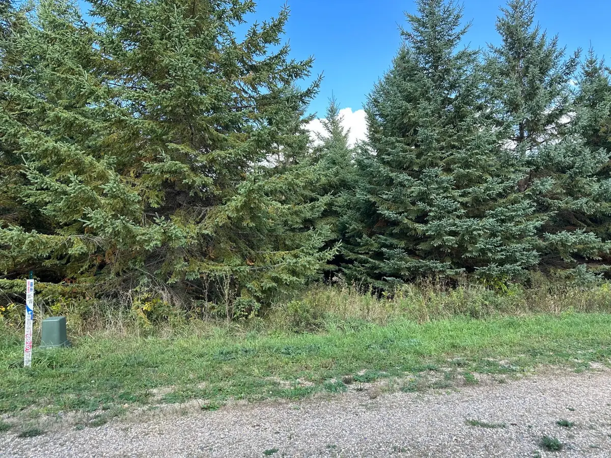 26795 Lidstrom Road, Detroit Lakes, MN 56501 - #1