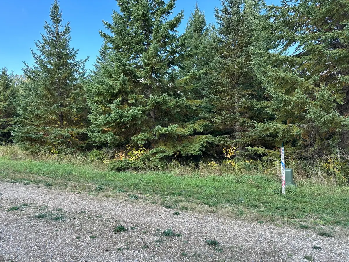 26797 Lidstrom Road, Detroit Lakes, MN 56501 - #1