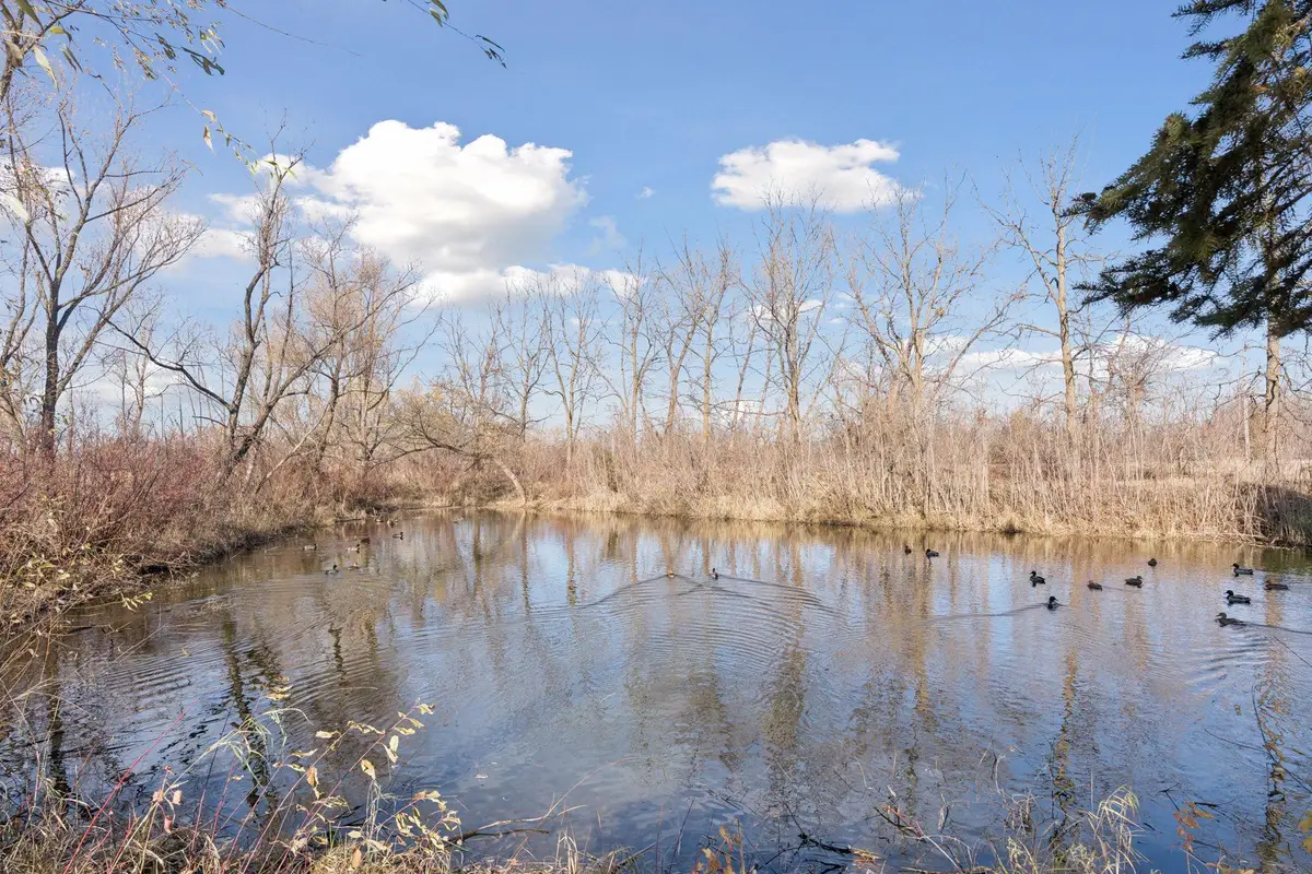 12565 Marion Court, Rogers, MN 55374 - #1