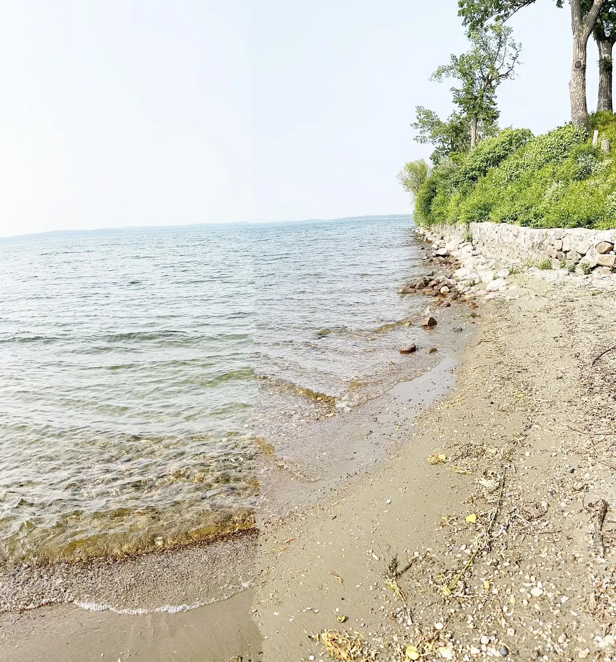 Lot 5, Castle Shores Indian Beach Road, Spicer, MN 56288 - Image #1