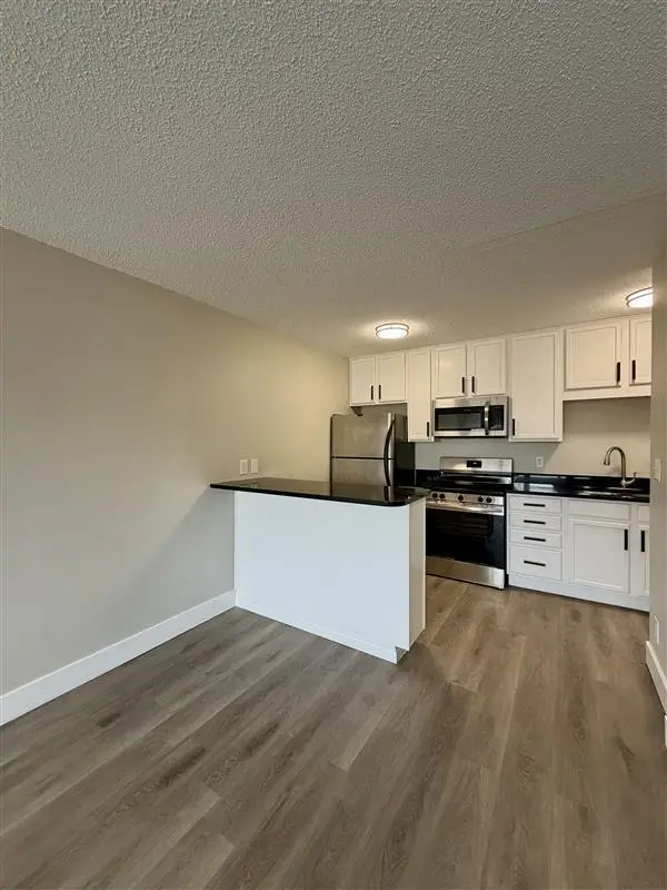 1800 Lasalle Avenue #302, Minneapolis, MN 55403