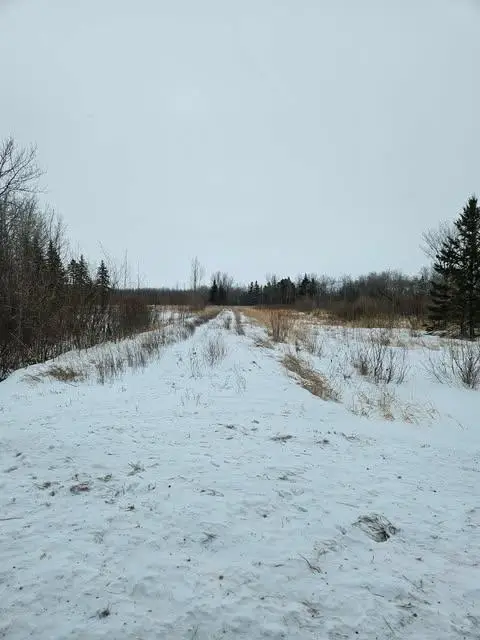 10389 150th Street Nw, Thief River Falls, MN 56701 - #2