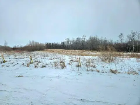 10389 150th Street Nw, Thief River Falls, MN 56701 - #3