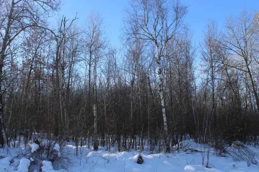 9xxx 200th Street, Milaca, MN 56353 - #2