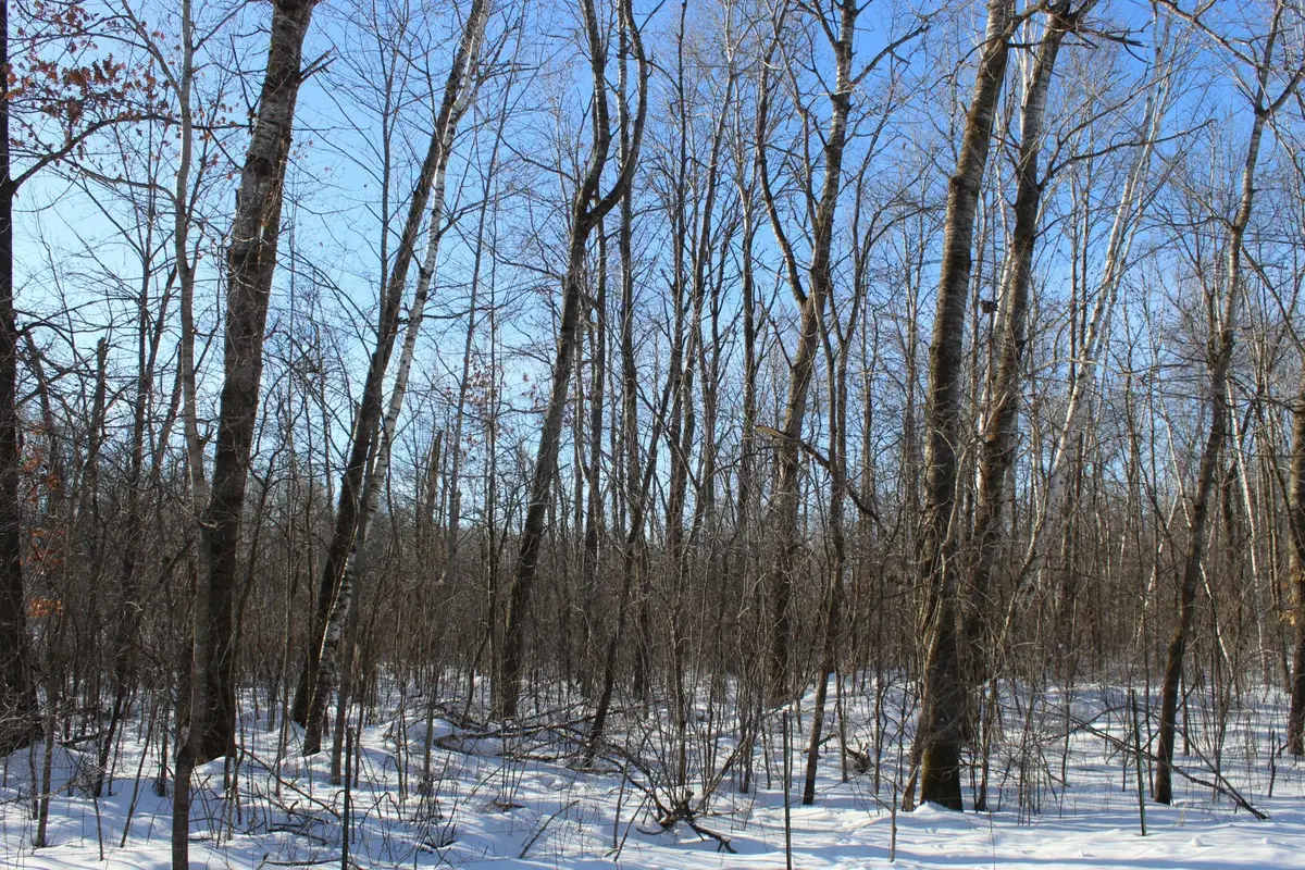 91xx 200th Street, Milaca, MN 56353 - #1