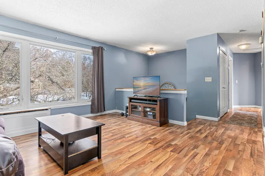 868 Olive Street, Circle Pines, MN 55014 - #3