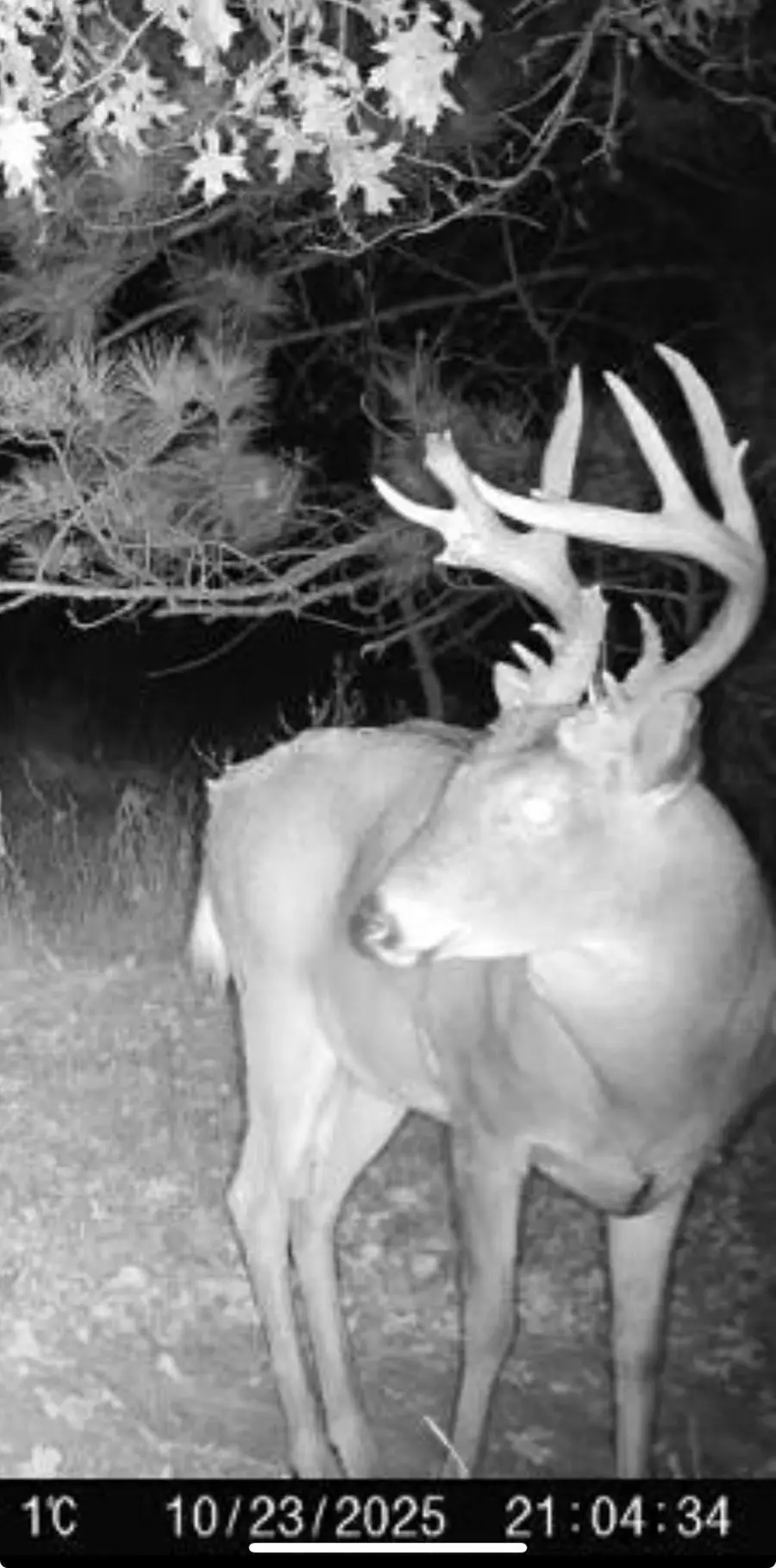 TBD Variolite St Nw, Princeton, MN 55371 - #3