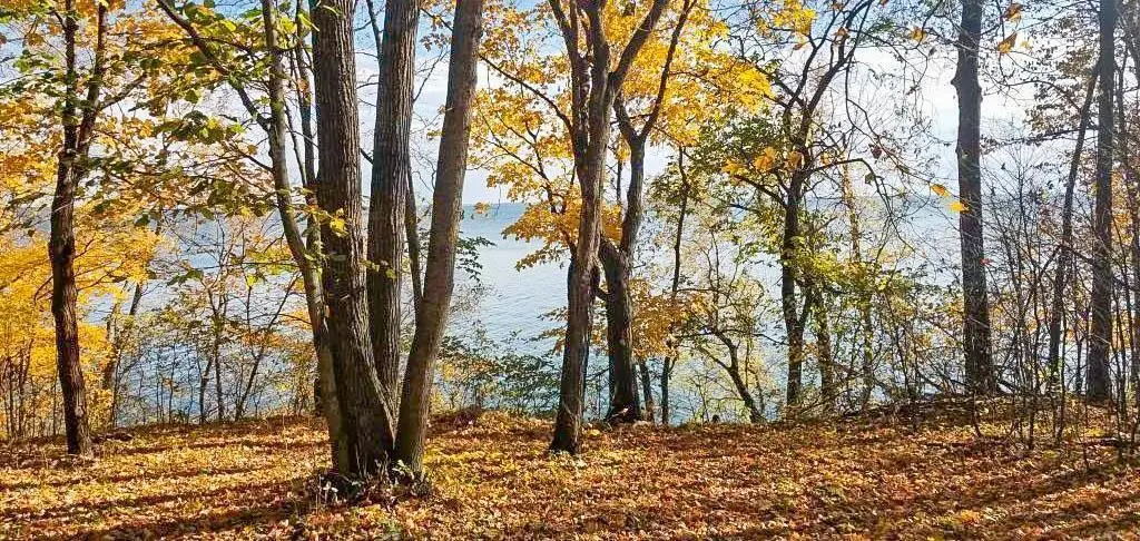 TBD Lot 19 Ni Gig Trail, Cass Lake, MN 56633 - #1