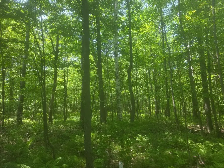 00 26 1/2, Cumberland, WI 54829 - #3