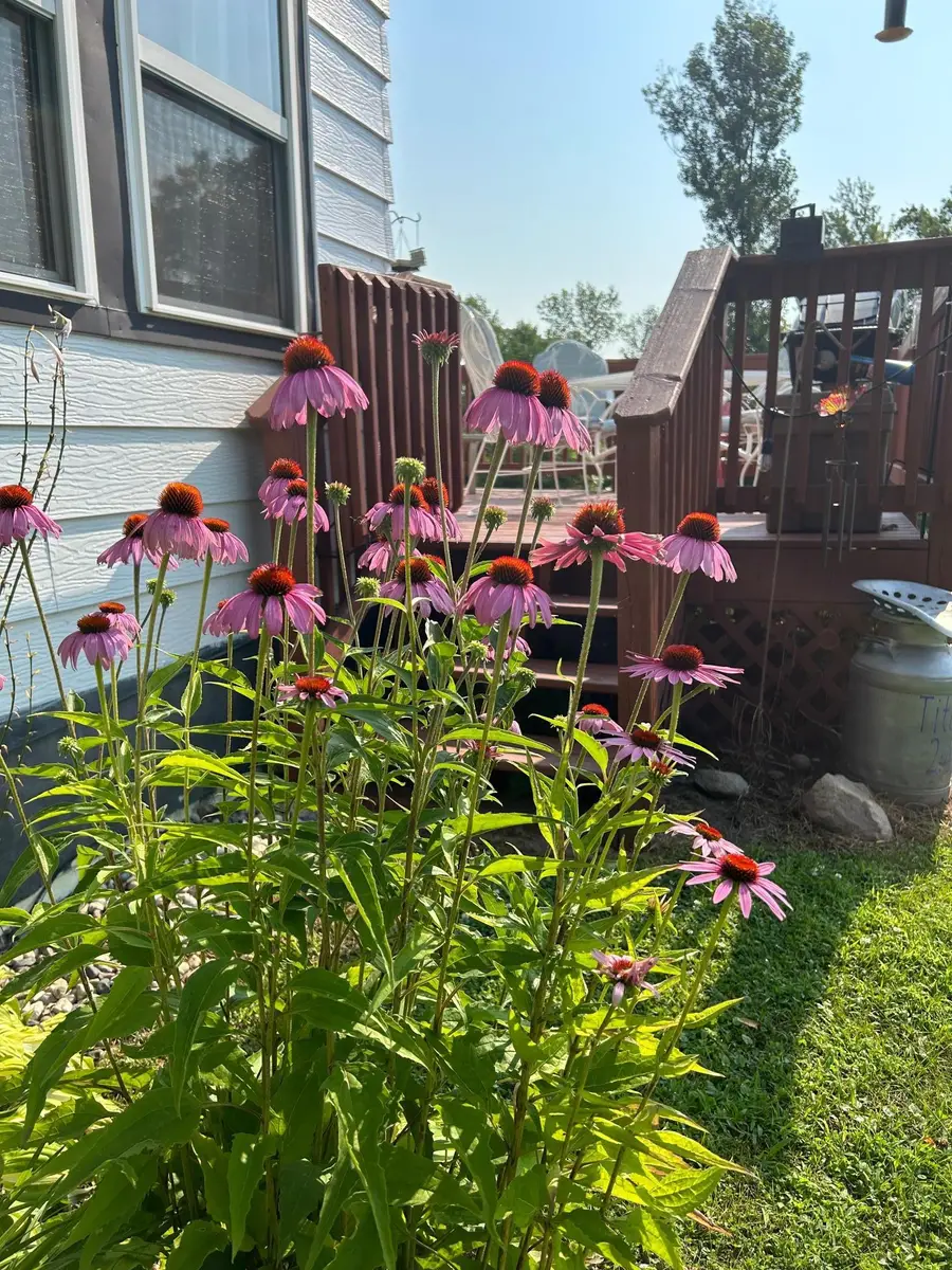 7005 County Road 82 Se, La Grand, MN 56308 - #2