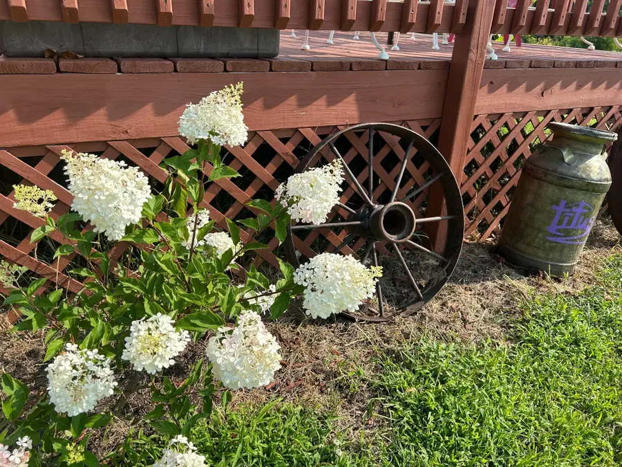 7005 County Road 82 Se, La Grand, MN 56308 - #3