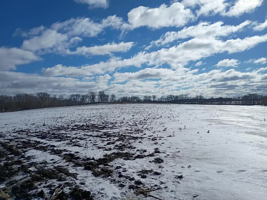 TBD & TBD County Rd. 8, Waverly, MN 55390 - Image #2