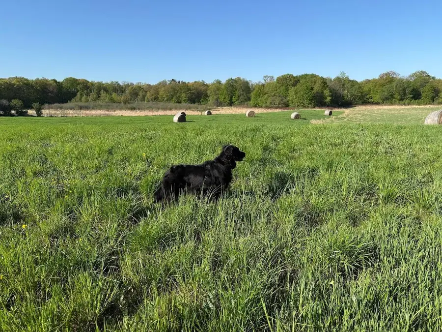 XXXXX Oxboro Ave N, Scandia, MN 55047 - #2