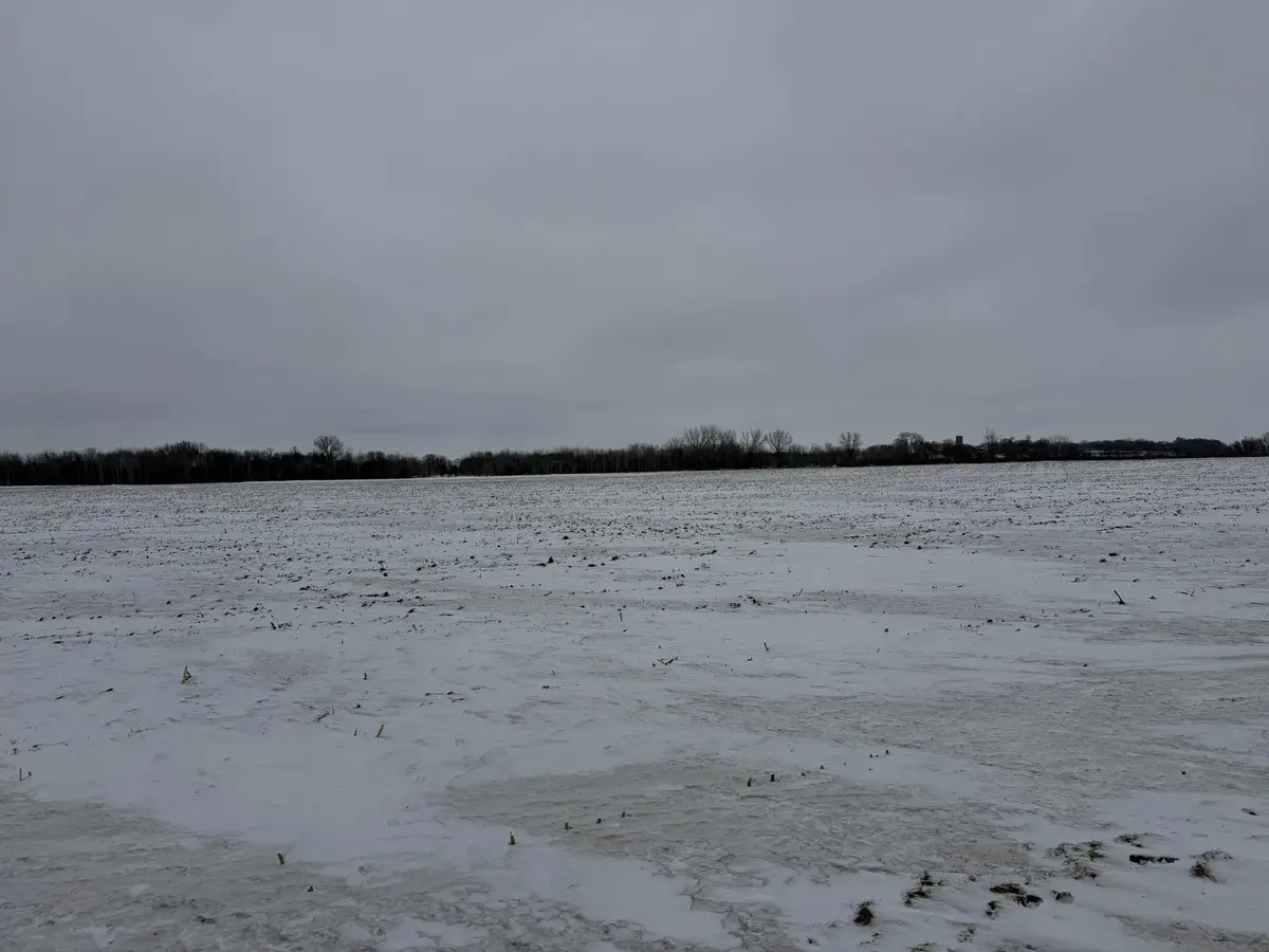 Section 31 Lake George Township, Belgrade, MN 56312 - #1