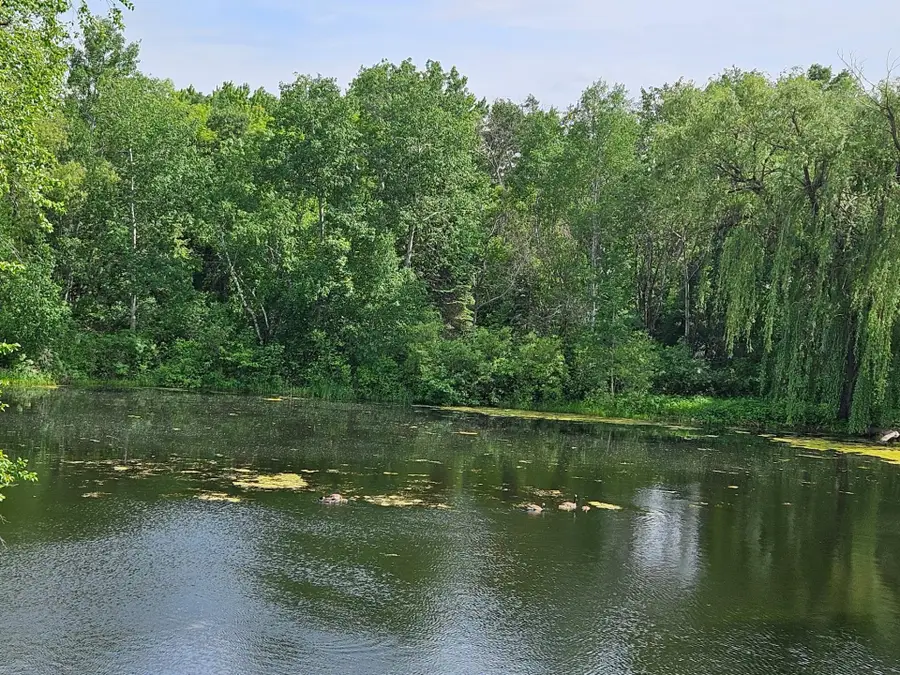 6131 Egg Lake Road N, Hugo, MN 55038 - #3