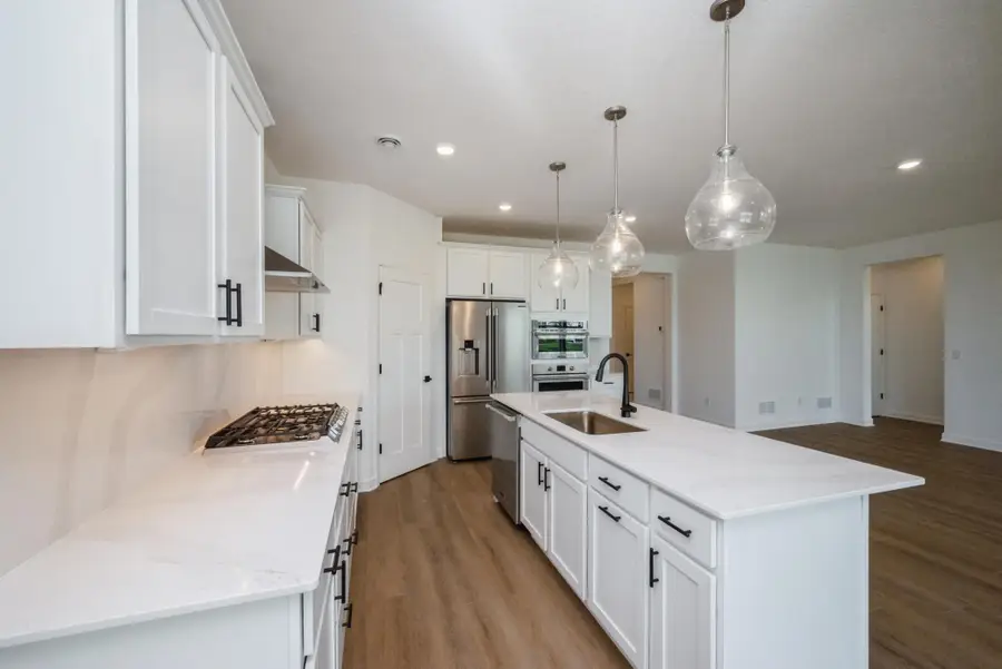 20149 Ginseng Way, Lakeville, MN 55044 - Image #3