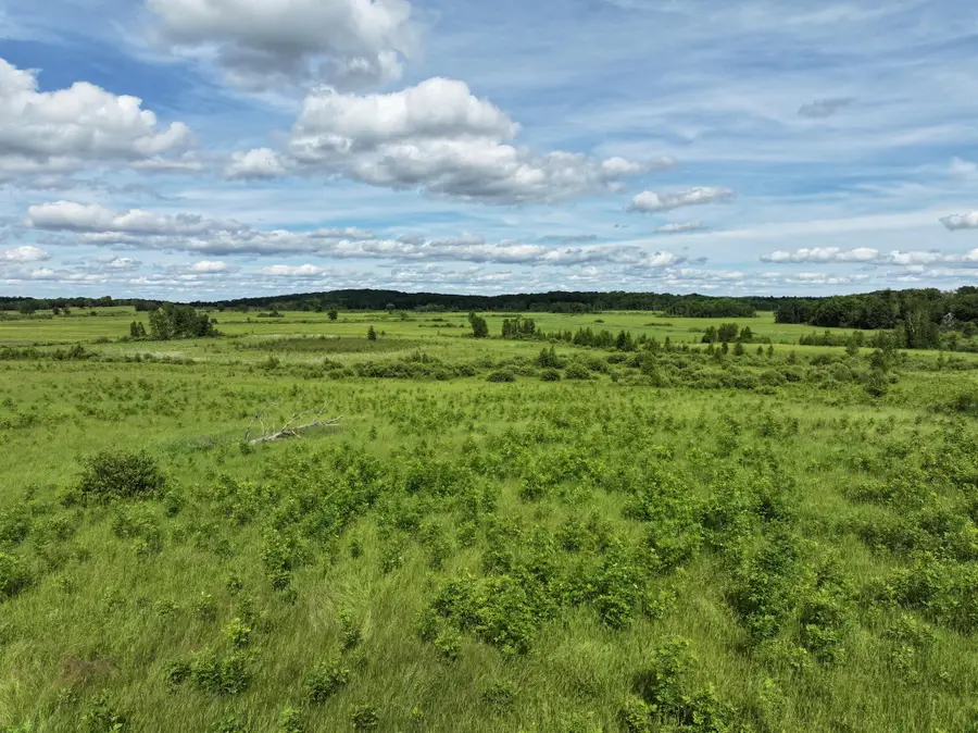 9884 County Road 1 Sw, Pequot Lakes, MN 56472 - #2