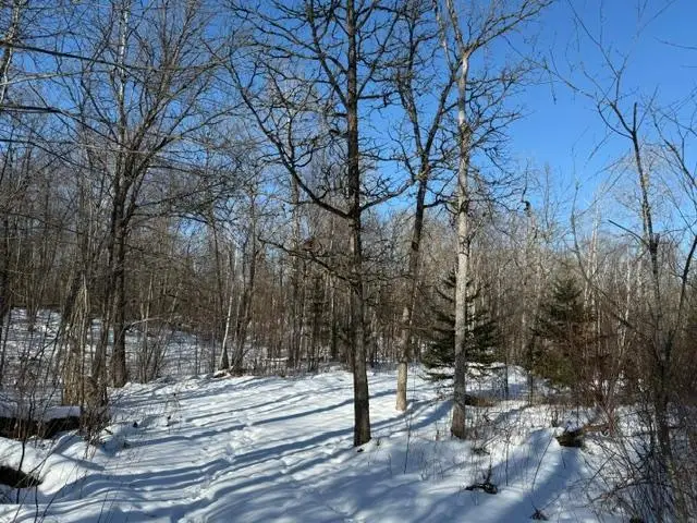 41174 Yellow Birch Lane, Emily, MN 56447 - #3