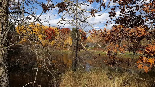 XXX Oriole Court, Browerville, MN 56438