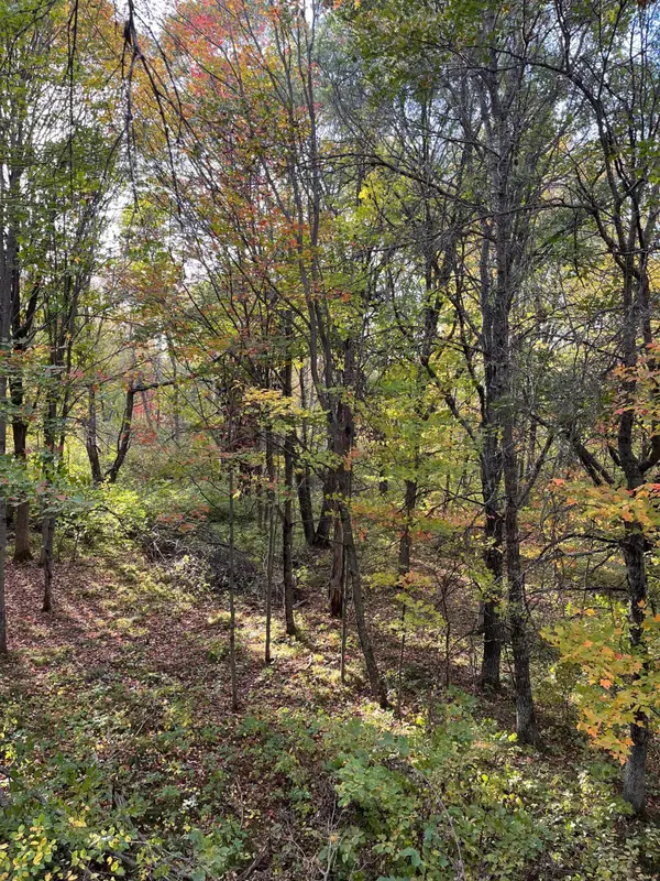 0 Levi Lane, Crosslake, MN 56442