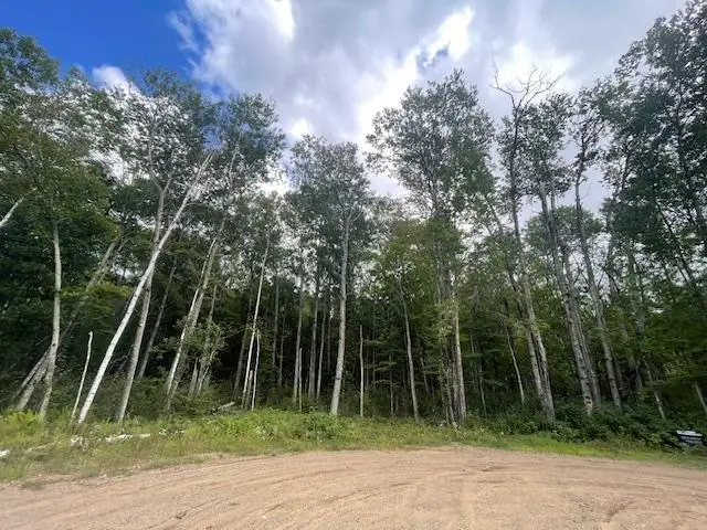 0 Levi Lane, Crosslake, MN 56442 - #2