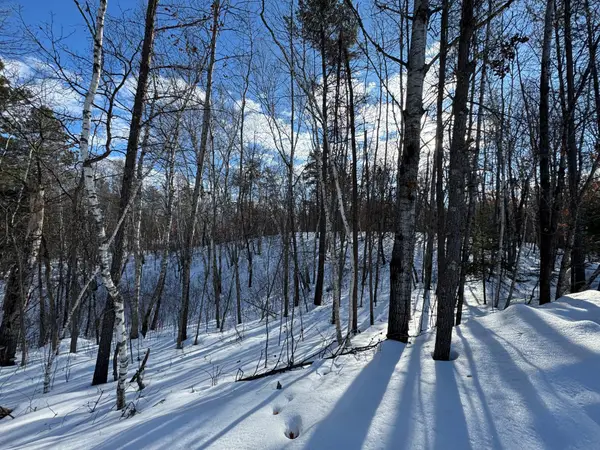 Lot 11 Firewood Trail, Park Rapids, MN 56470