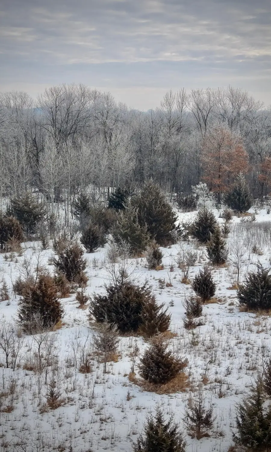 21423 Vergus Avenue, Prior Lake, MN 55372 - #2